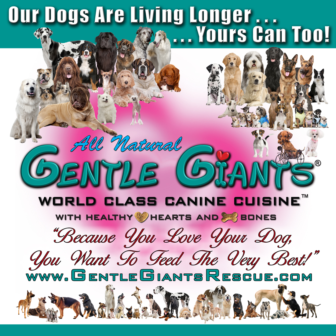 Best dog food for neapolitan mastiff puppy shop